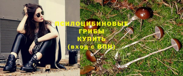 дживик Нея